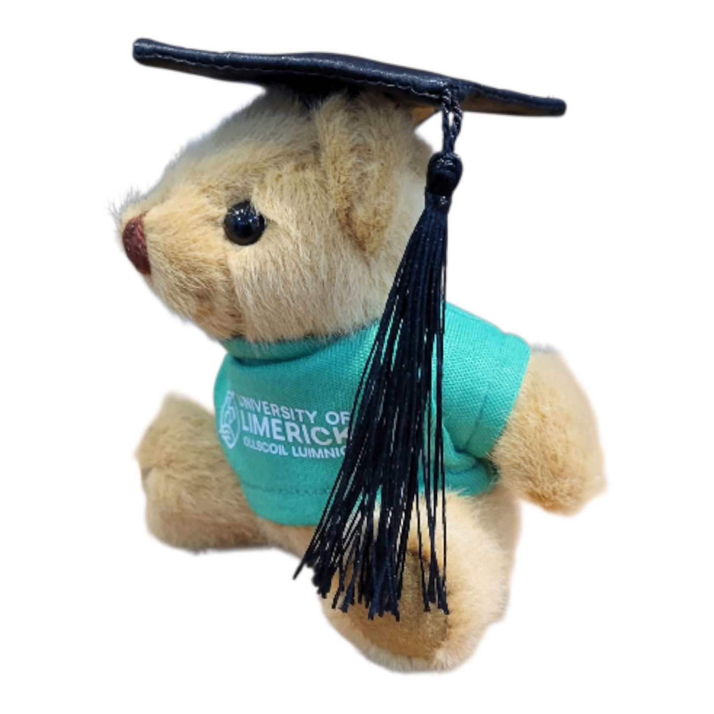 Senan the Graduation Teddy Bear