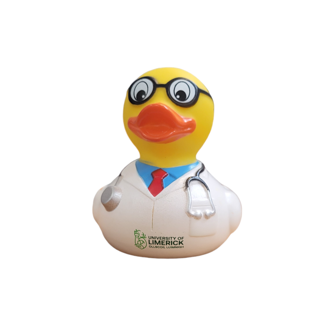 University of Limerick Academic Ducks