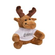 Oisin the UL Irish Elk Student